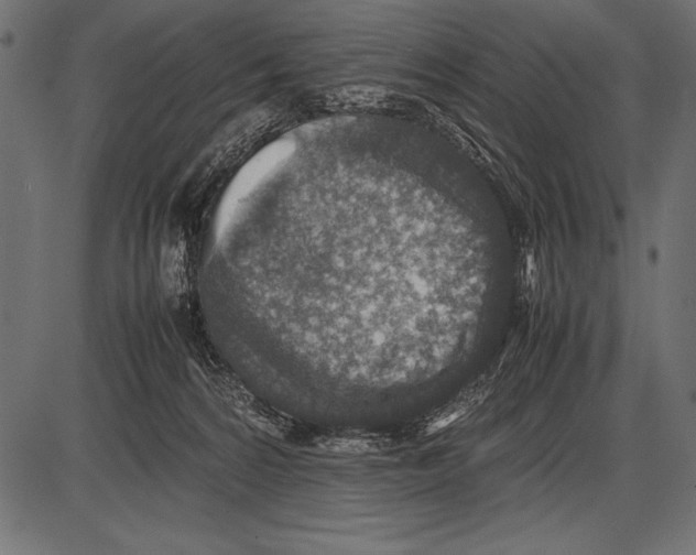 X0000085730224200704091452