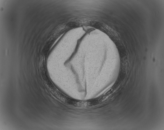 X0000085730225200704091452