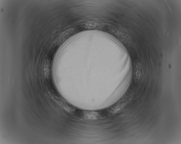 X0000085730226200704091452