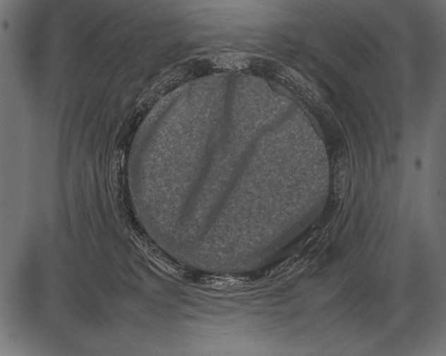 X0000085730229200704091452