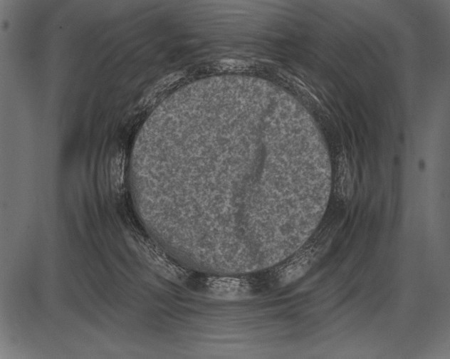 X0000085730230200704091452