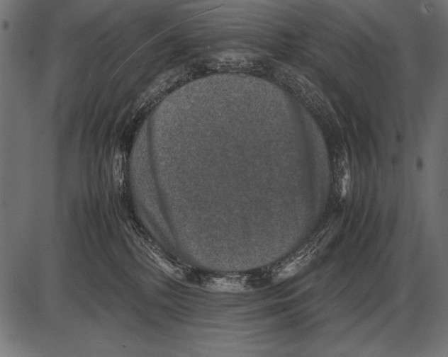 X0000085730232200704091452