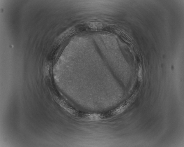 X0000085730233200704091452