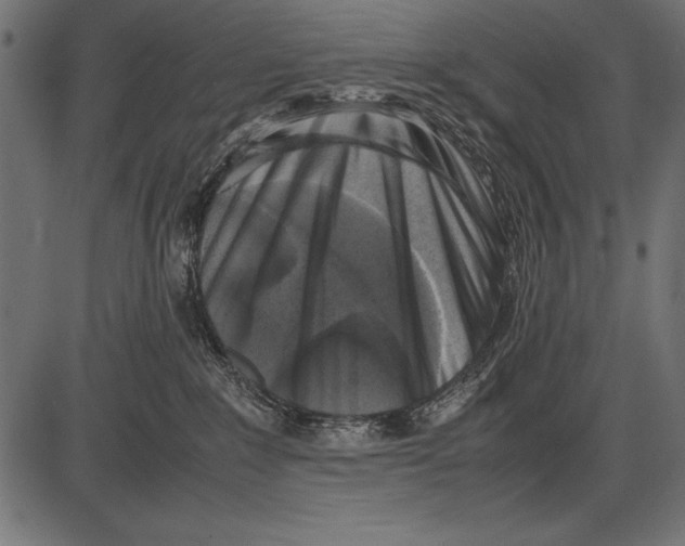 X0000085730235200704091452