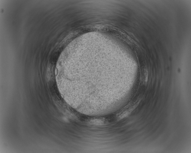 X0000085730236200704091452