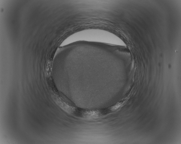 X0000085730237200704091452