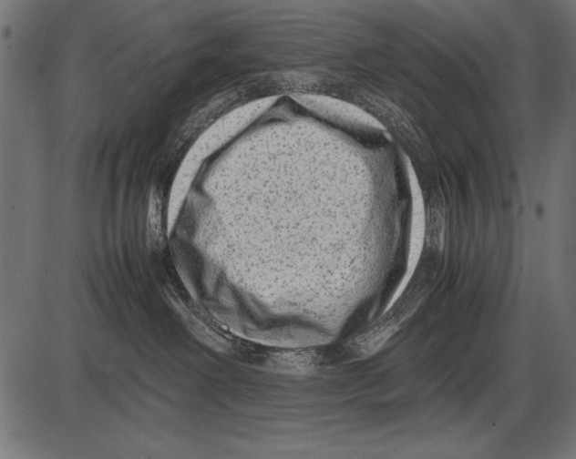 X0000085730238200704091452