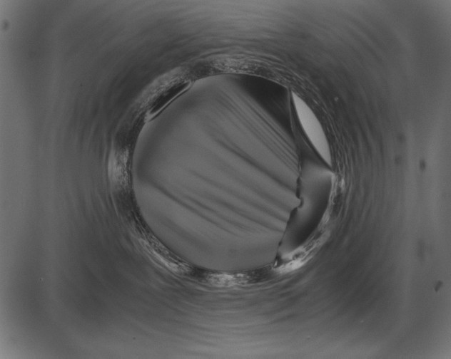 X0000085730239200704091452