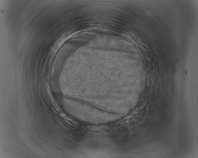 X0000085730241200704091451