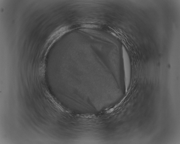 X0000085730243200704091451