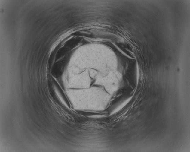 X0000085730244200704091451