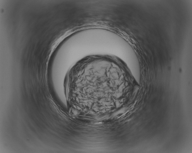 X0000085730248200704091451