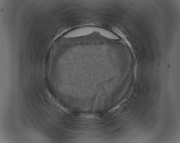 X0000085730249200704091451