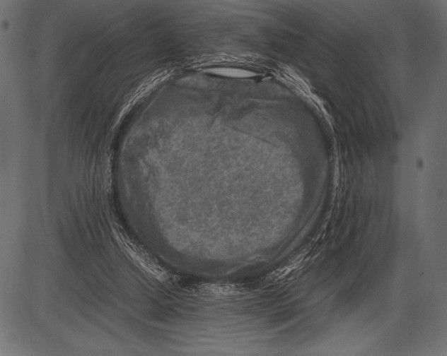 X0000085730250200704091451