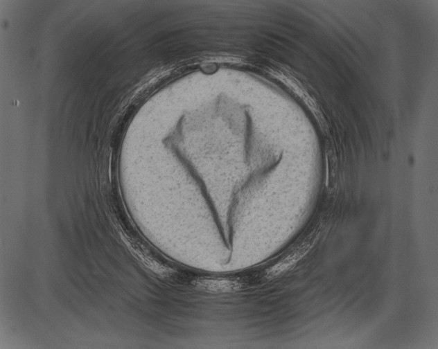 X0000085730253200704091451