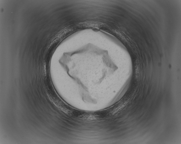 X0000085730254200704091451