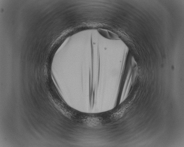 X0000085730256200704091451