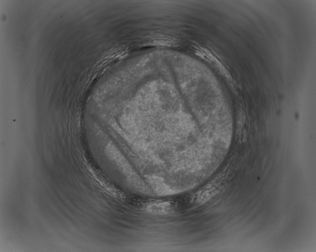 X0000085730257200704091451