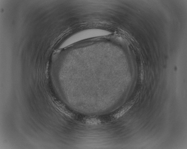 X0000085730258200704091451