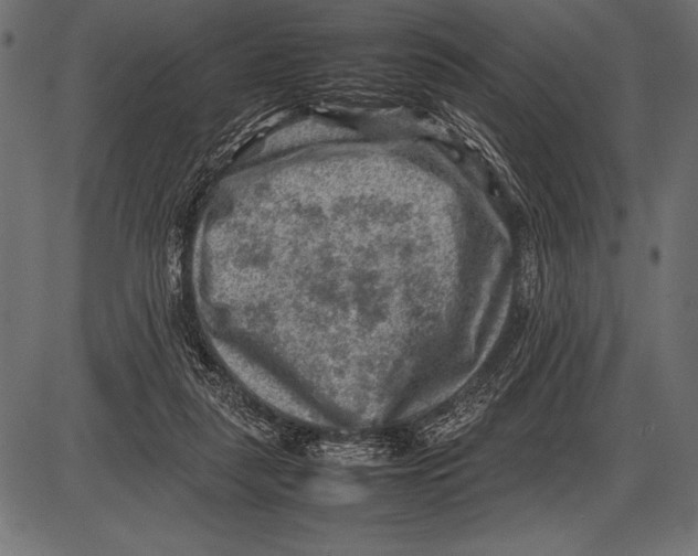 X0000085730259200704091451