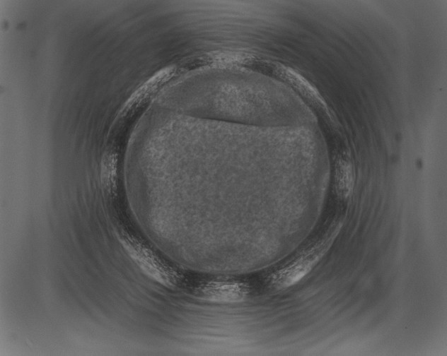 X0000085730260200704091451