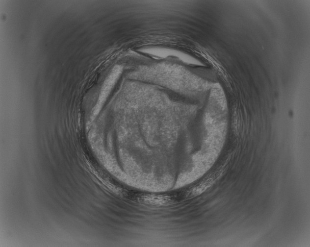 X0000085730261200704091451