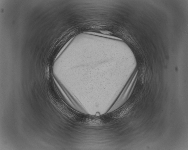 X0000085730262200704091452