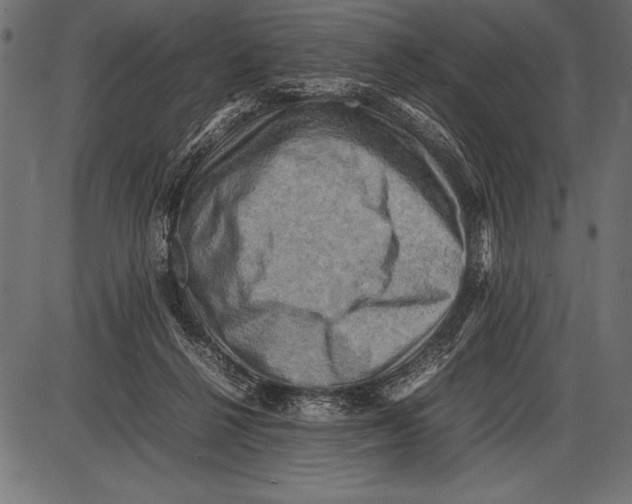 X0000085730264200704091452