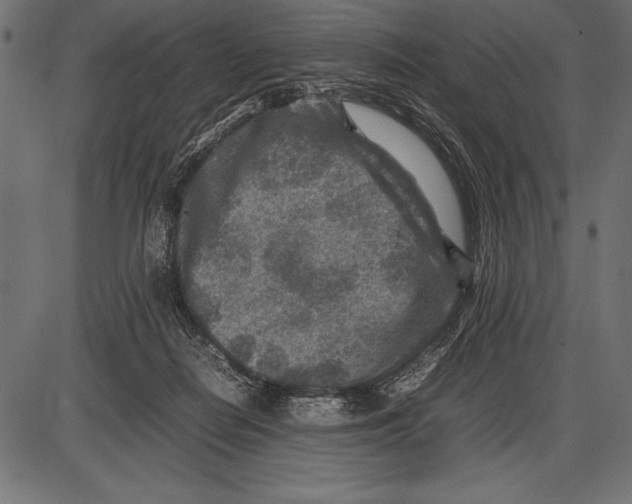 X0000085730266200704091452