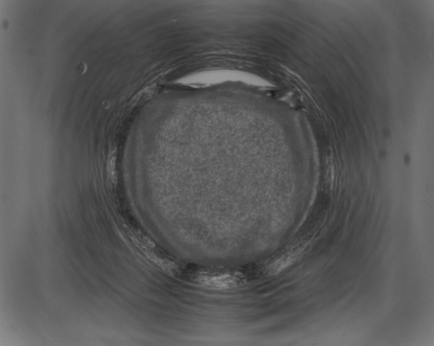 X0000085730267200704091452