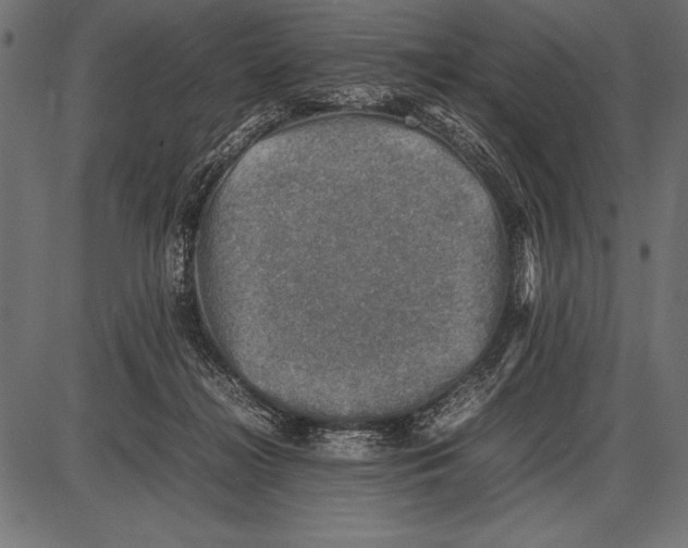 X0000085730268200704091452