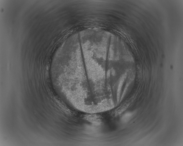 X0000085730269200704091452