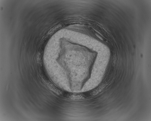 X0000085730270200704091452