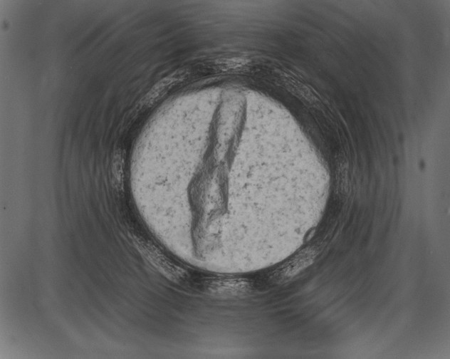 X0000085730274200704091452