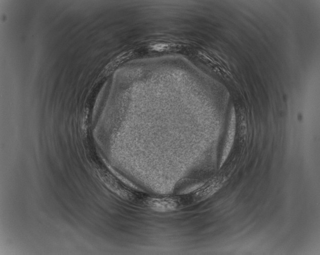 X0000085730275200704091452