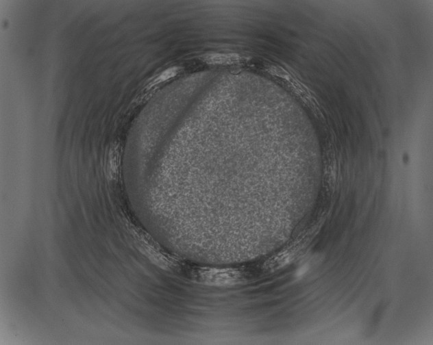 X0000085730277200704091452