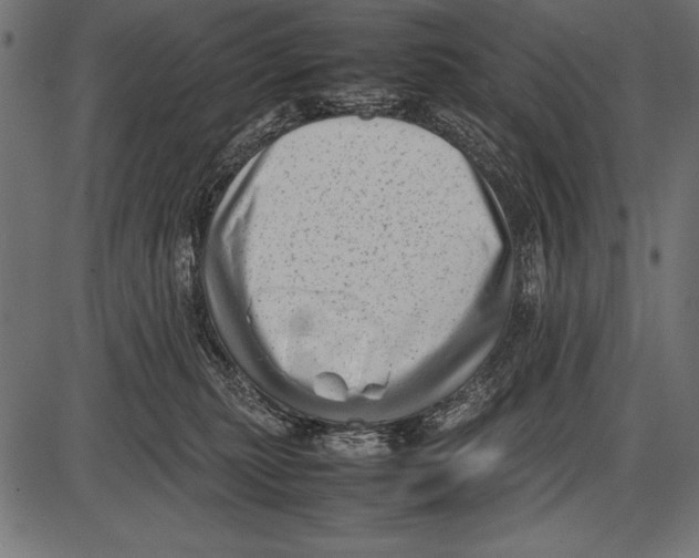 X0000085730279200704091452