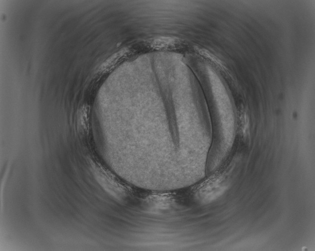 X0000085730280200704091452