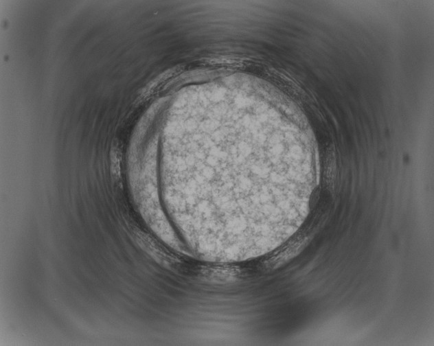 X0000085730282200704091452