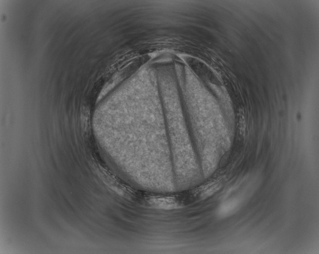 X0000085730283200704091452