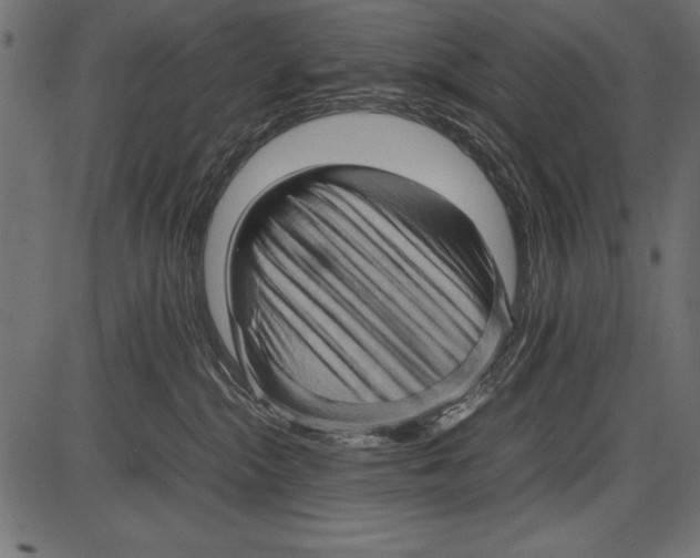 X0000085730284200704091452