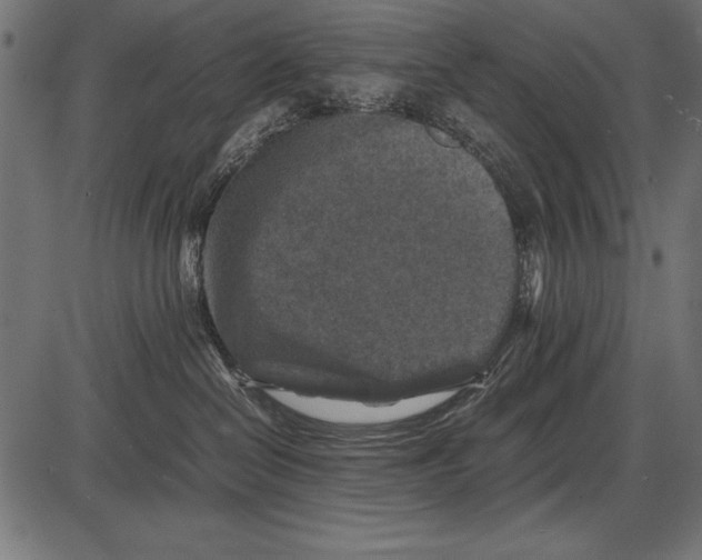 X0000085730286200704091452