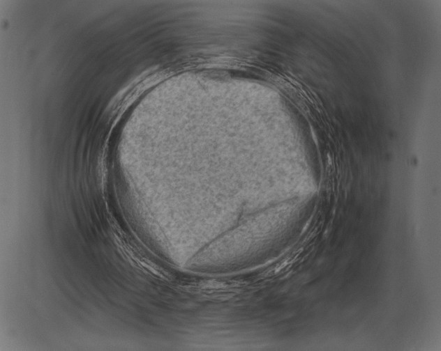 X0000085730290200704091451