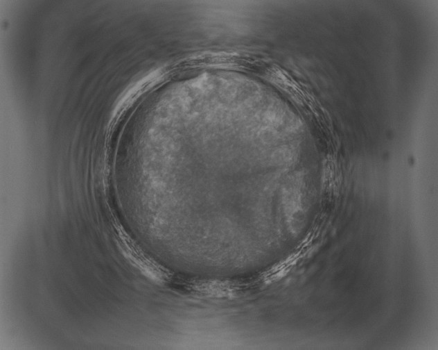 X0000085730293200704091451