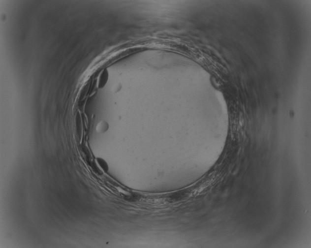 X0000085730295200704091451