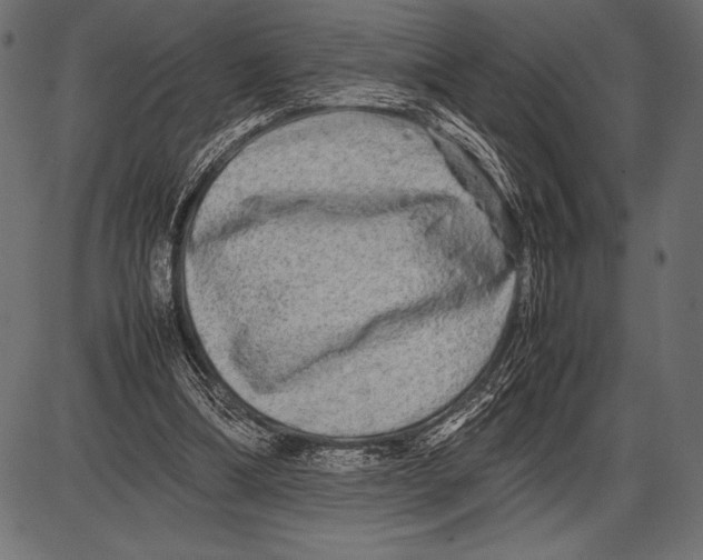 X0000085730298200704091451