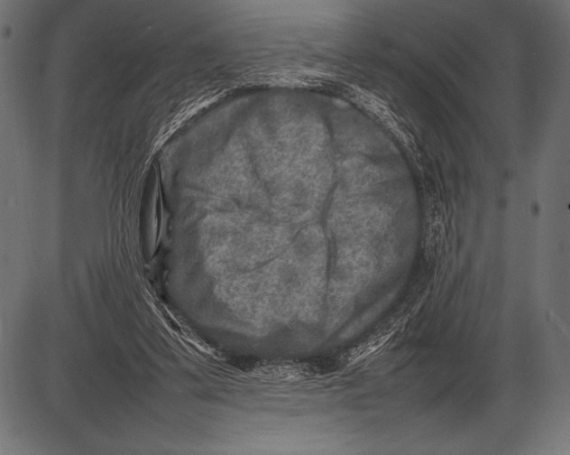 X0000085730299200704091451