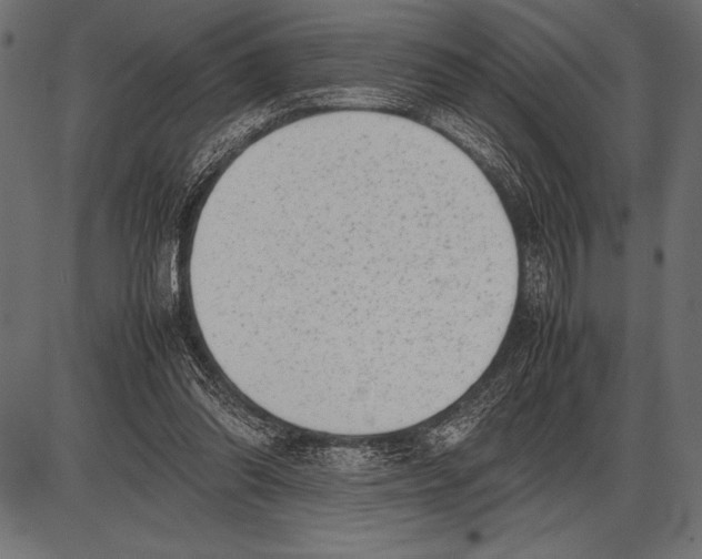 X0000085730302200704091451