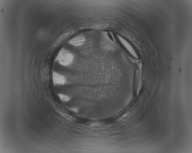 X0000085730303200704091451