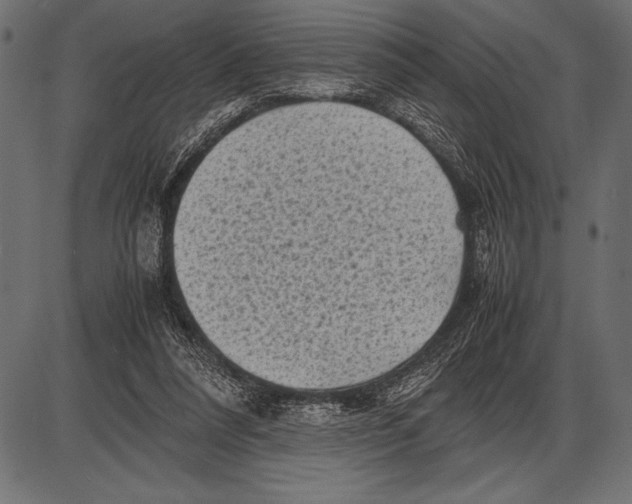 X0000085730304200704091451